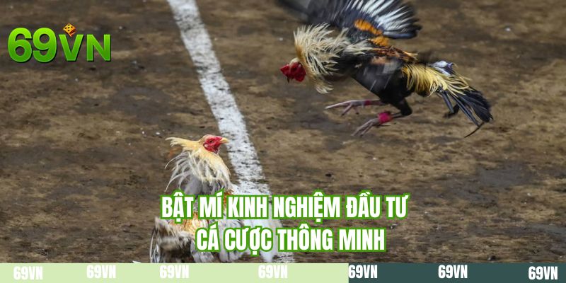 Bật mí kinh nghiệm đầu tư cá cược thông minh