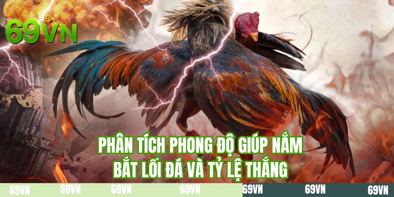 Phân tích phong độ giúp nắm bắt lối đá và tỷ lệ thắng